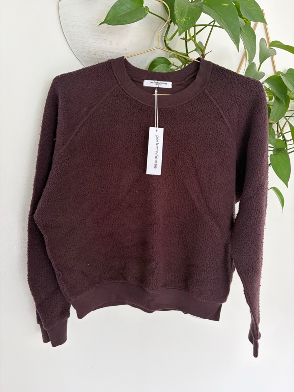 perfectwhitetee Plush Crewneck Sweatshirt in Chocolate Brown Size Medium